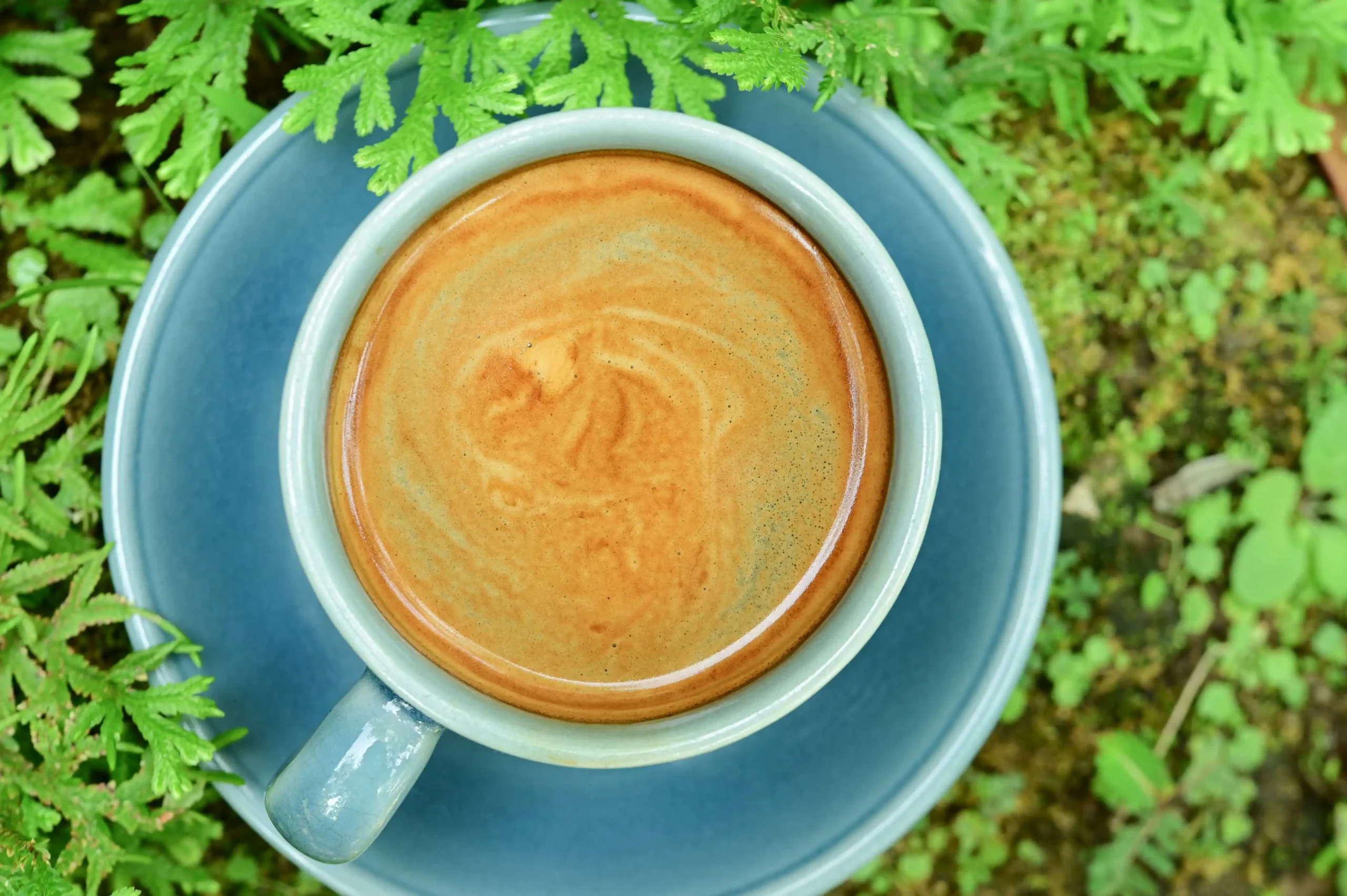 Mushroom Coffee