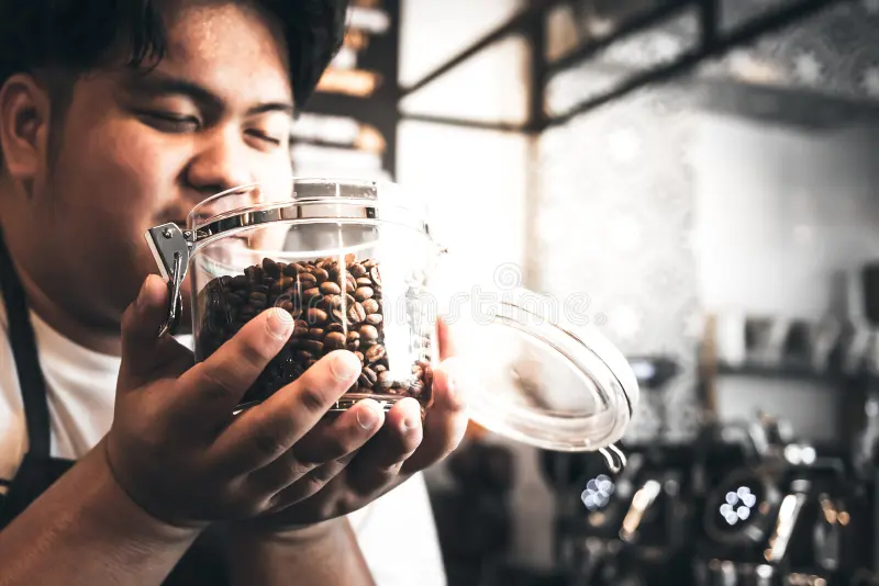 Does Mushroom Coffee Help You Lose Weight?